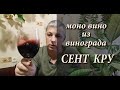 Моно вино из винограда СЕНТ КРУ!