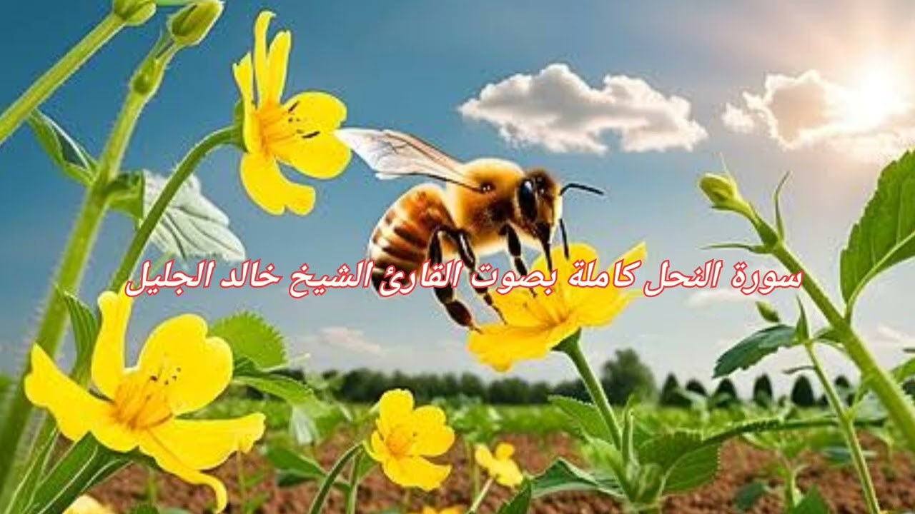 سورة النحل كاملة بصوت القارئ الشيخ خالد الجليل 