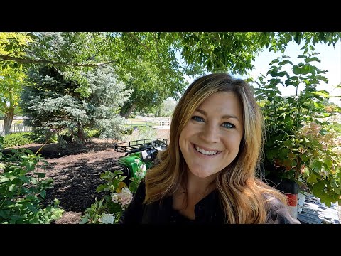 Planting Oakleaf Hydrangeas, Snowball Bushes & a Crabapple Tree!
