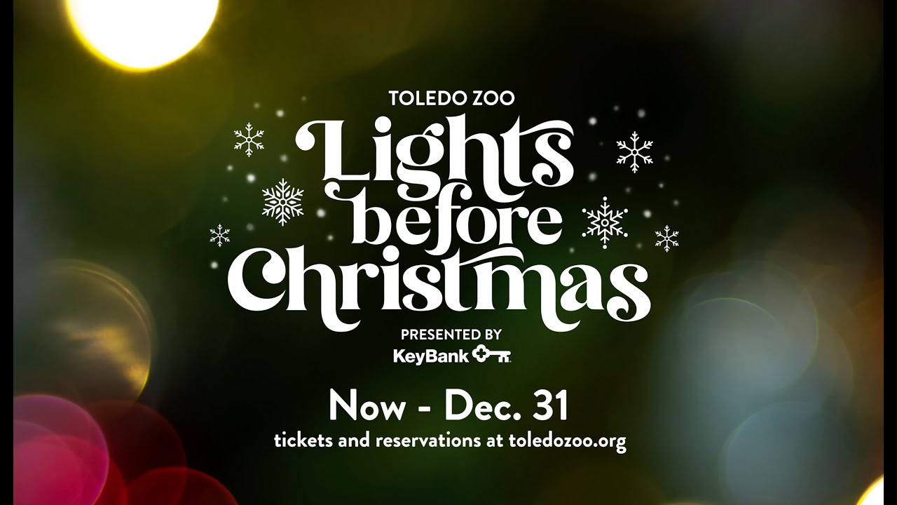 Lights Before Christmas Presented By