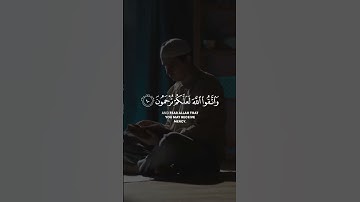 انما المؤمنون إخوة | اجمل #حالات_واتس من #القران_الكريم #عمر_هشام_العربي #سورة_الحجرات
