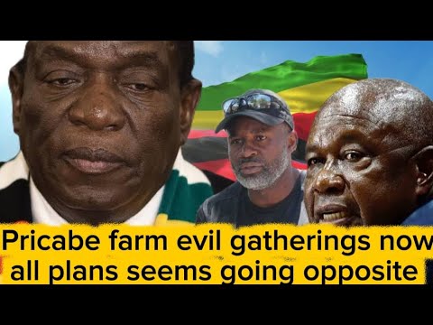 Why Zvigananda Plans Failing Church Not Telling ED The Truth Actually They Are Praying For Him To Go