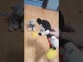 Mickey Mouse tries to win against Josh!!! #shorts