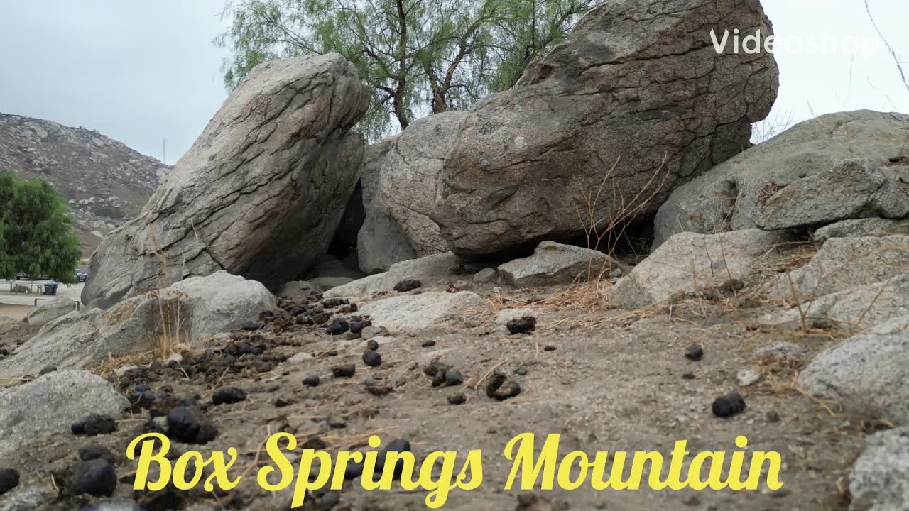 Box Springs Mountain