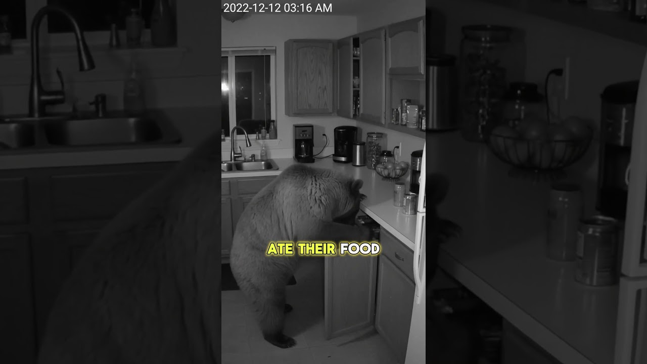 They Had No Idea This Was Happening at Night