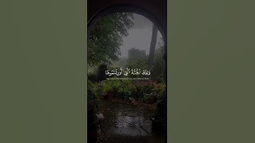 ما تيسر من سورة الزخرف🤎 #ماهرالمعيقلي #quran #قران #سورة_الزخرف