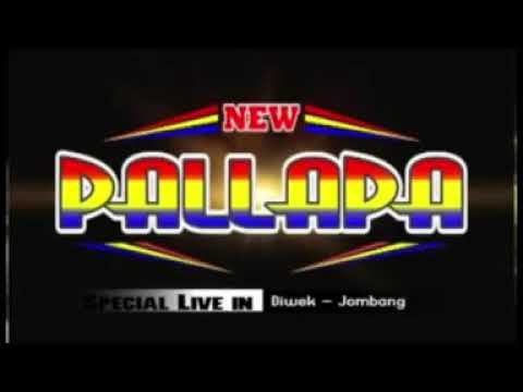 Sambalado - Elsa Safira - New_Pallapa_Cukir_Gebang_Diwek_Jombang