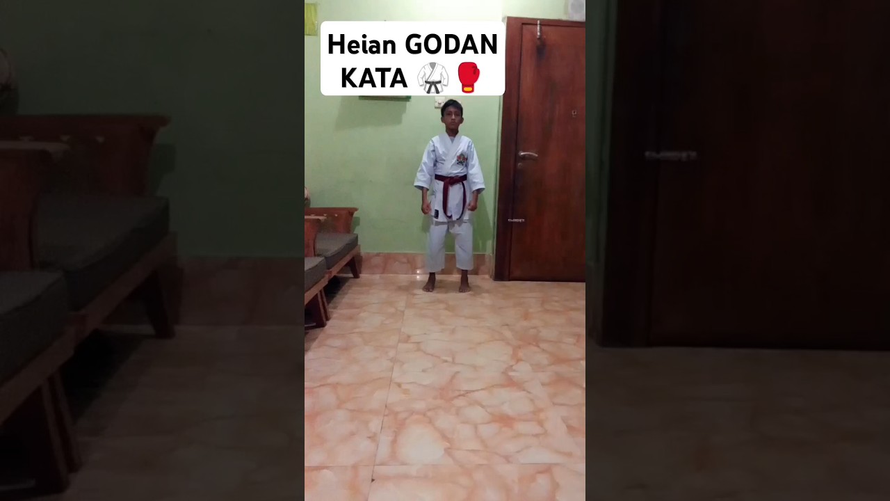 Heian GODAN 🥋🥊