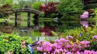 beautiful picture is gif