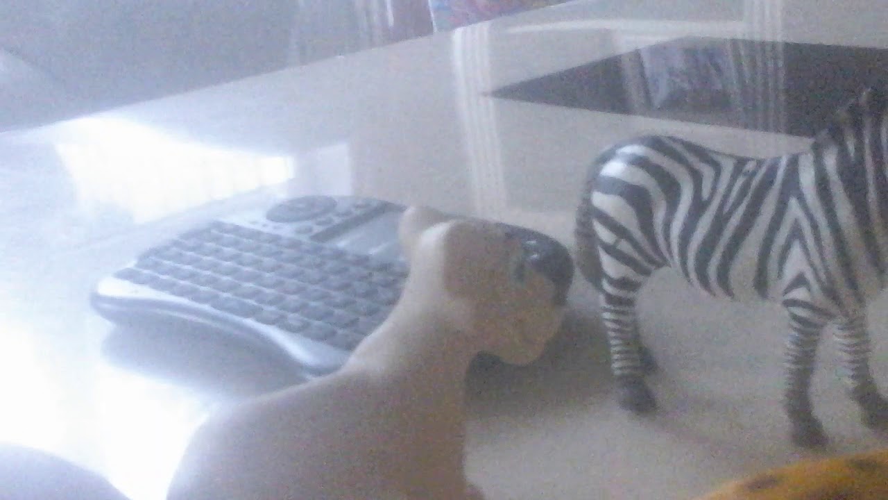 Animals : hunter - YouTube