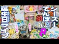 【祝8歳！】シーズー犬てんぽさん8歳生誕祭ライブ【pizzaを添えて】