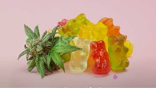 Alpha Enhancer CBD Gummies Reviews [Cost & Ingredients] (USA) [5k13zp89]