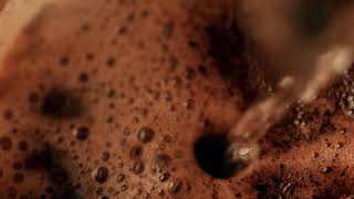 Celebrity Crio Bru Dark Chocolate Heaven Wealth