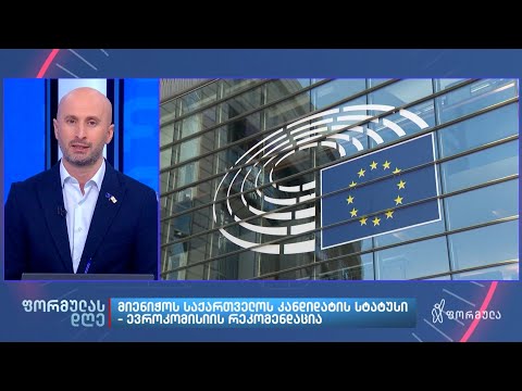 გურამ როგავას მიმოხილვა — 8 ნოემბერი