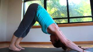 Wilmington Yoga Center Hot Detox And Hold Yoga Cl