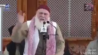molana rafiq jami seb