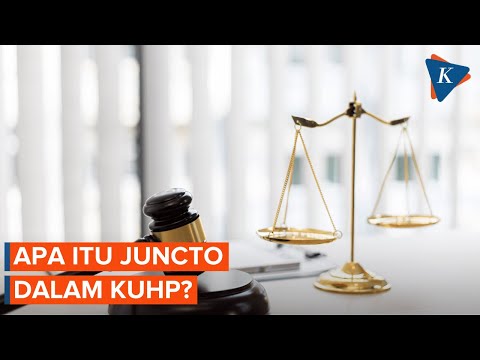 Video: Dalam undang-undang apakah itu pengampunan?