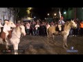 Desfile de  Caballos Jinetes Carruajes Tropillas