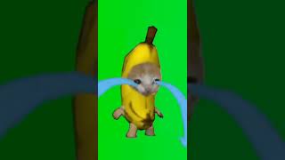 crying banana cat