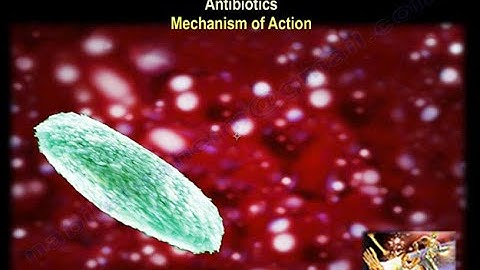 Antibiotics & Open Fractures - Everything You Need To Know - Dr. Nabil Ebraheim