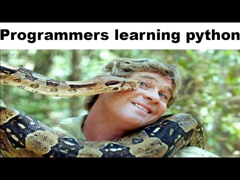 Programmers Learning Python Memes
