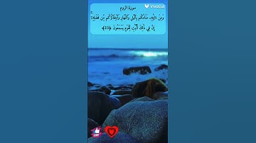 سورة الروم #تلاوة_خاشعة