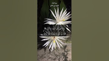 آية ٢١ "وإذا قيل لهم اتبعو ما أنزل الله" من سورة لقمان | اللهم اغفر لنا إن أشركنا بغيرك بدون قصد منا
