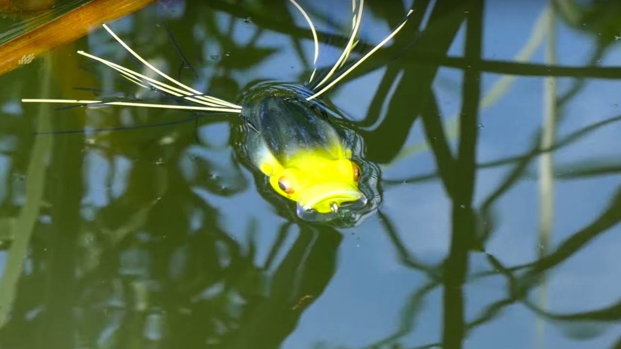 River2Sea Spittin' Wa 55 Topwater Frog Bass Fishing Lure — Discount Tackle