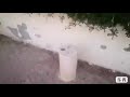فيديو   مواطن يشكي بين الماضي والحاضر  الجزيرة الخضرا نجومي
