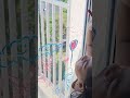 Window painting  aarya and minnu