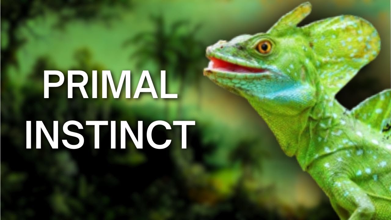 Top 10 Incredible Animal Survival Tactics