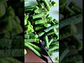 আমার সাথে একমত হলে কমেন্টে লিখে জানান 📌📌