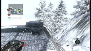 Double Spawnhawk