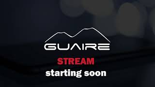 Guaire Dev Stream - creating a Discord bot connected to a free local AI using Oobabooga API