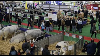 Au Salon de l'Agriculture, les producteurs laitiers interpellent l'Europe