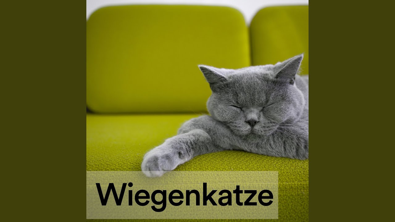 Der Moment der Musik für Katze YouTube