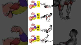 Arms Workout At Home forearms workout workout fitness chest exerciciosfisicos fitnessgym