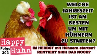 Hühner anschaffen - Rentiert sich das im Herbst? Der beste Zeitpunkt zum anfangen! HAPPY HUHN E303