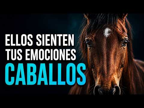 ¿Cómo Sabe Un CABALLO Que Una Persona Está Borracha? 100 Datos Sobre Los Caballos