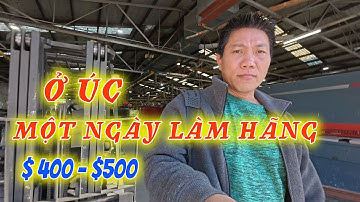 CUỘC SỐNG ÚC,  ĐI LÀM TỪ TỜ MỜ SÁNG KIỂU DÂN LÀM HÃNG, LÀM FARM CÒN KINH KHỦNG HƠN