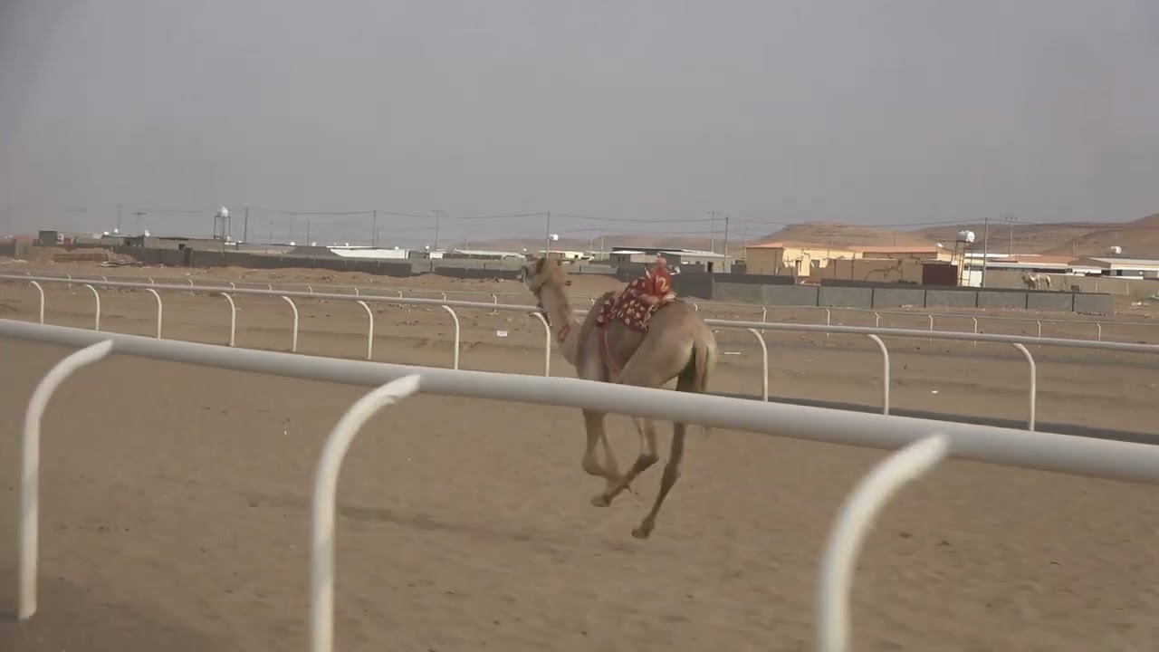 ٥-الدهما لـ ابناء حمود سالم الحويطي