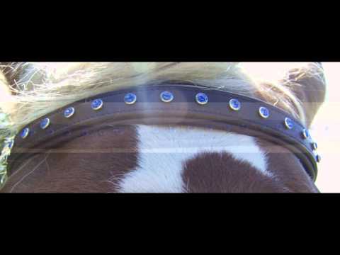 Sterling Steed's Draft Horse Havana Brown Bridle with Blue Crystals