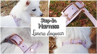 Lunera dogwear - Beautiful Biothane Harness for Tera! 💗 by Tera & Luna 243 views 2 years ago 1 minute, 22 seconds