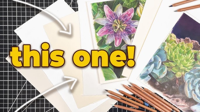 Picking the Best Art Paper for YOU! Mixed Media & Colored Pencils (written  version available!) 