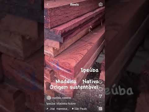 Vídeo: O que é madeira de origem sustentável?