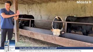 : Mol boqish sirlari #mol #bokish #molbokish_siri #molboqishsirlari #miosta