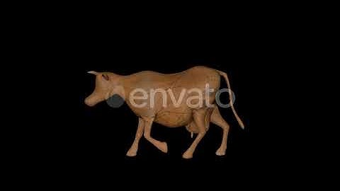Old Wood Cow Walk | Motion Graphics - Envato elements