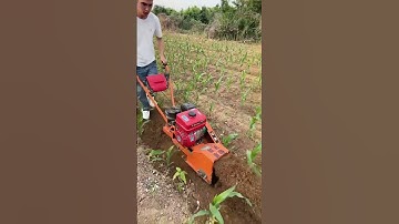Mini Tiller Machine in Action | Powerful Farming Tool for Easy Soil Preparation part 918