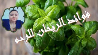 فوائد  الريحان للرحم 