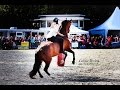 Cavallo Cup 2016 Finale mit fetziger Ehrenrunde :D